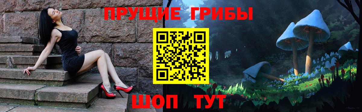 купить наркотик  Галлюциногенные грибы Cubensis  Вход с VPN  Татарск 